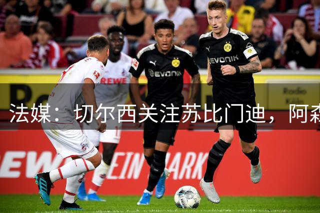 法媒：切尔西关注苏比门迪，阿森纳无意放走该球员