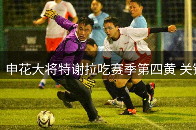 申花大将特谢拉吃赛季第四黄 关键战缺席埋隐患